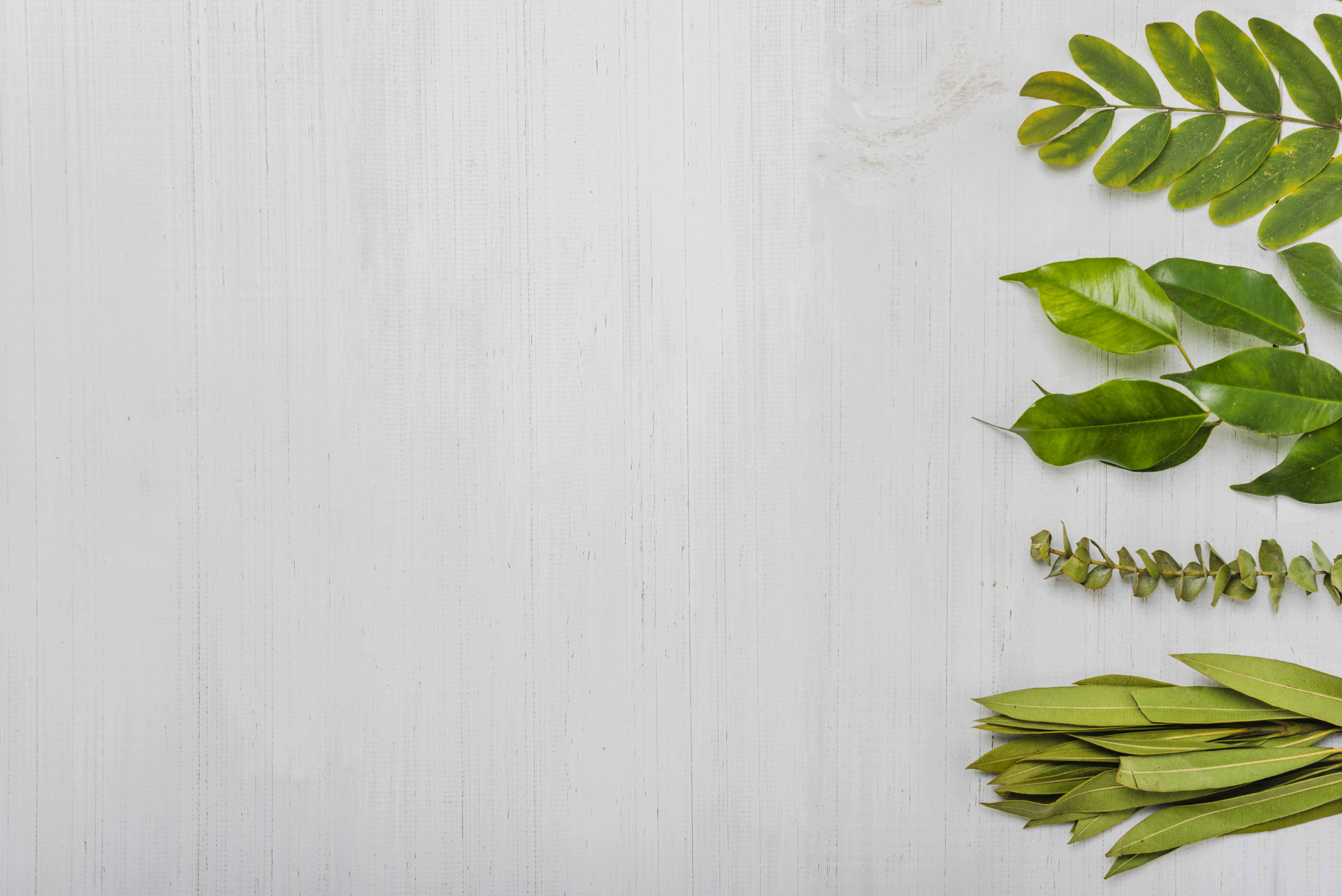 Herbal Pain Relief Balm